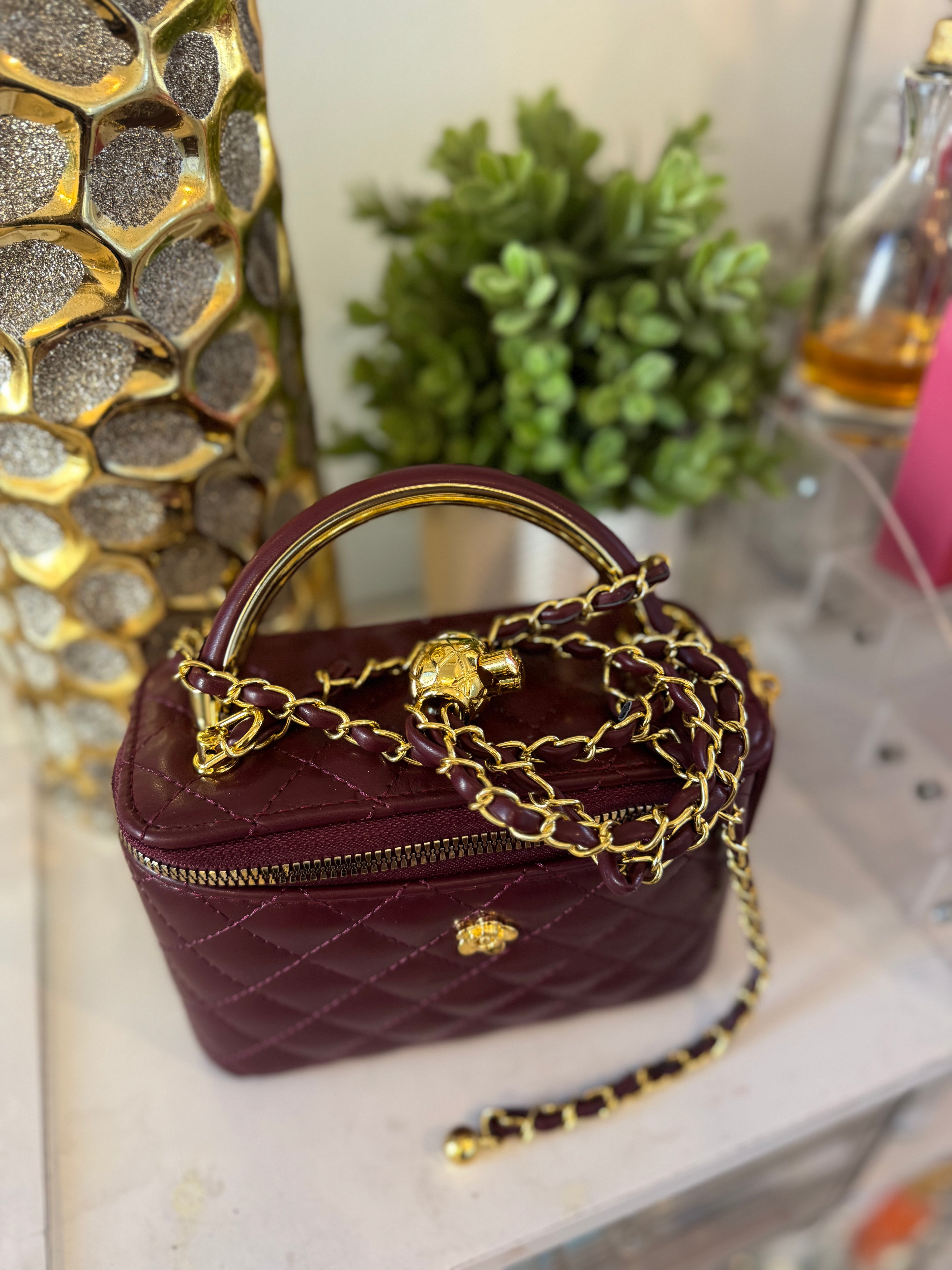 Vanity case bag (Burgundy)