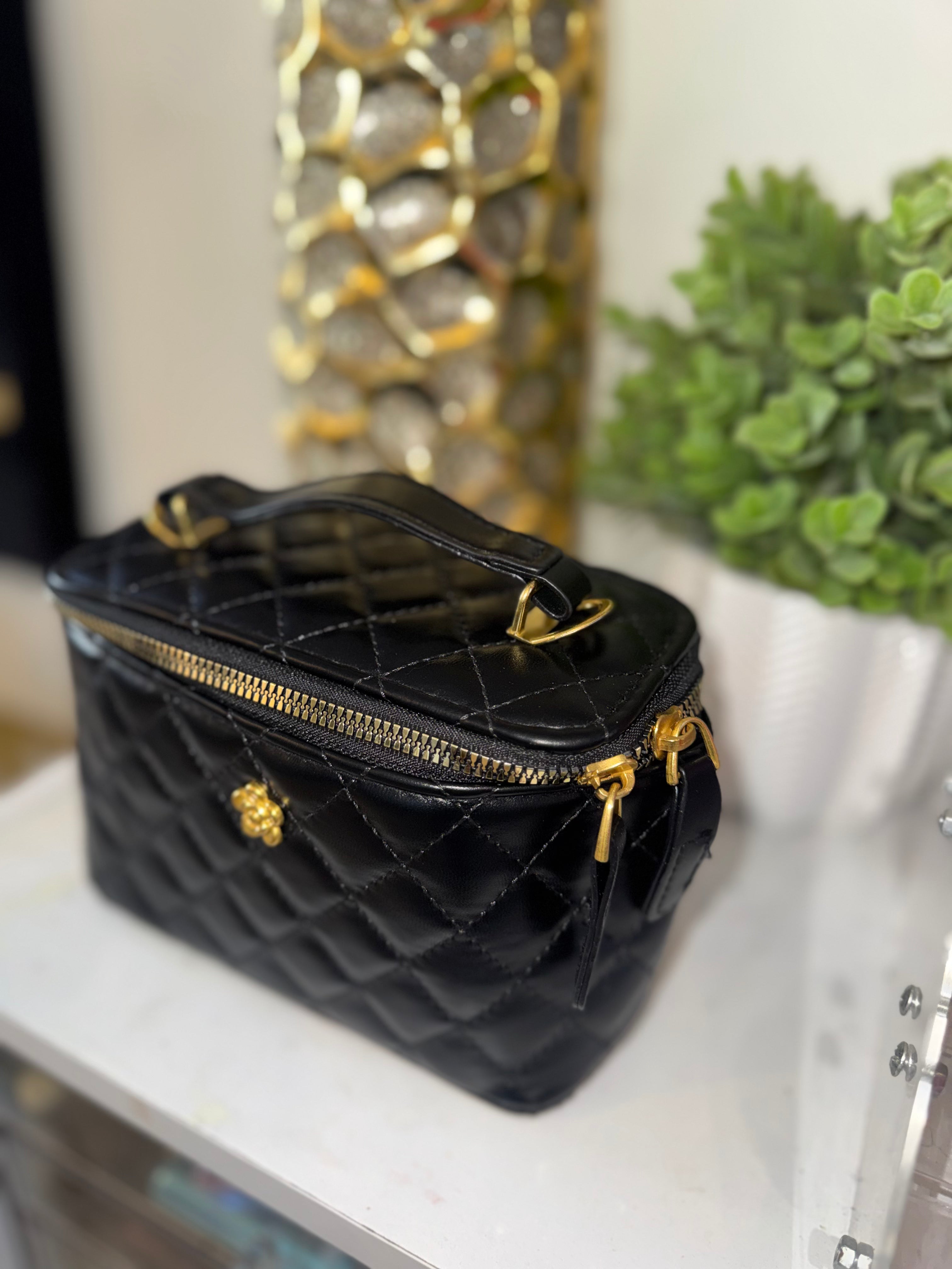 Vanity case bag (Black)