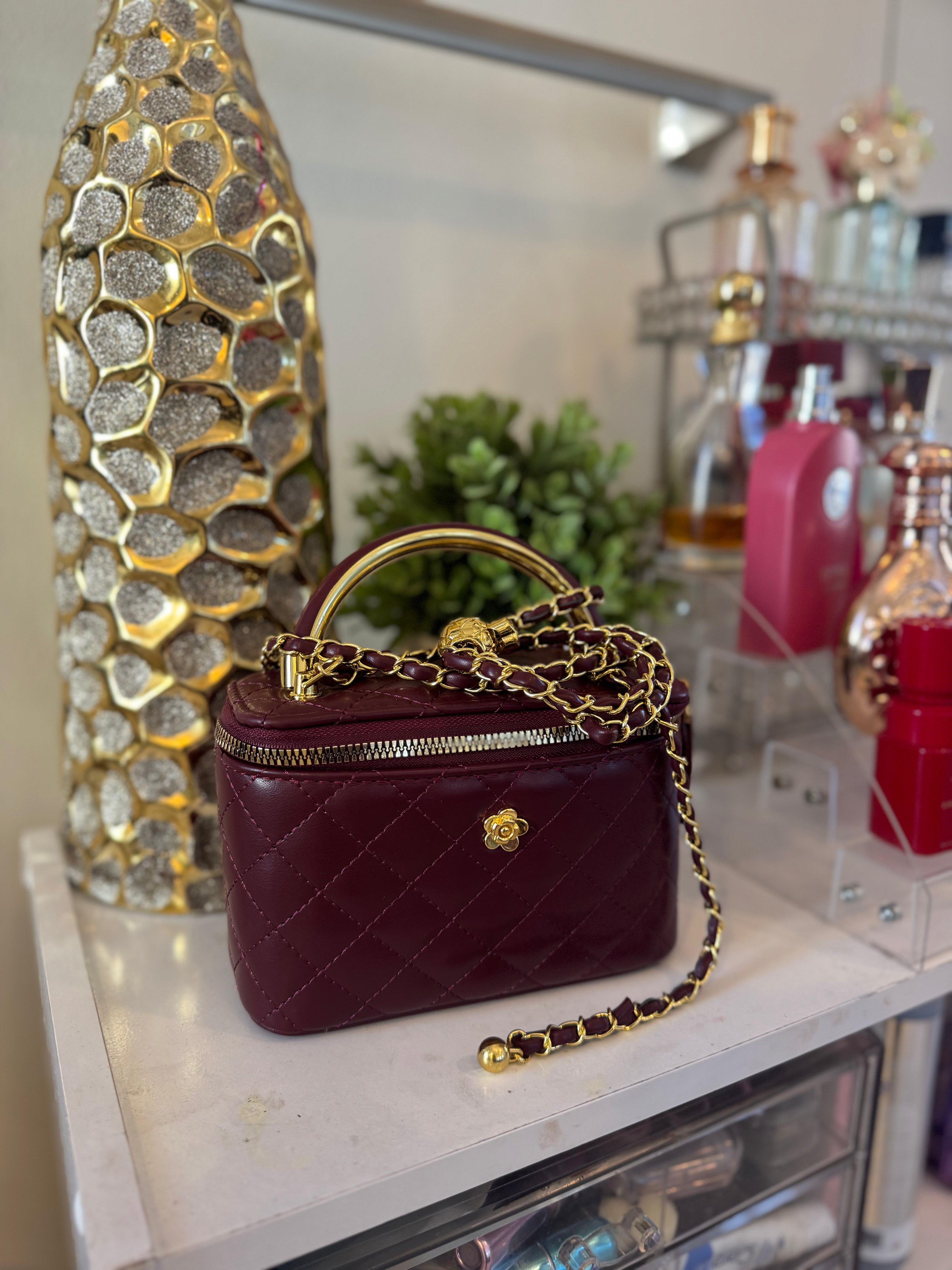 Vanity case bag (Burgundy)