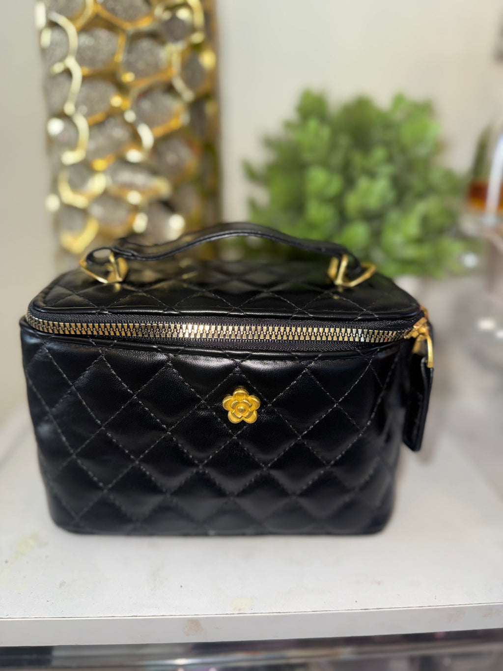Vanity case bag (Black)