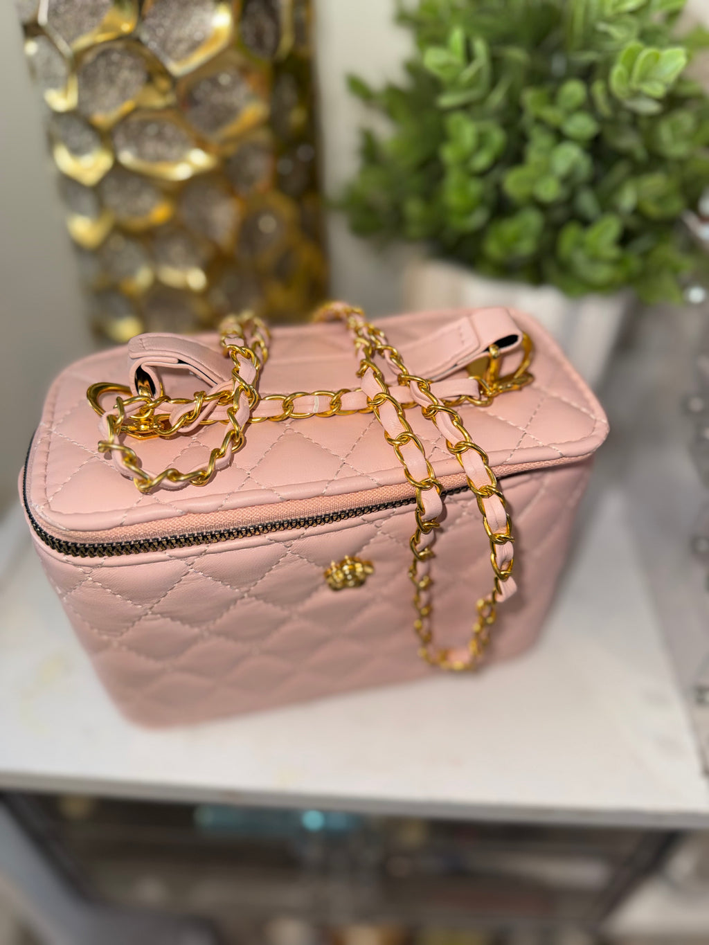 Vanity case bag (Pink)