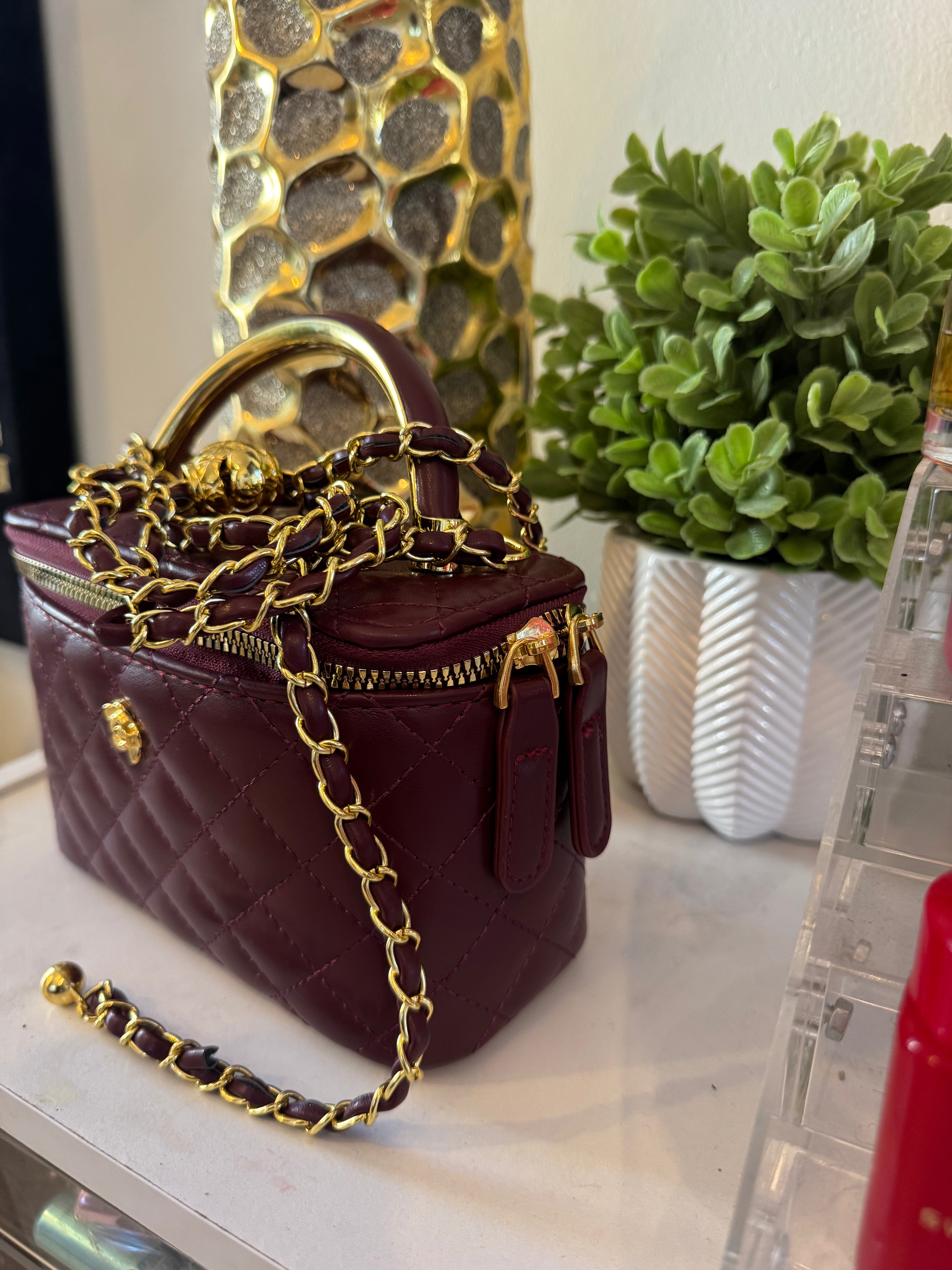 Vanity case bag (Burgundy)