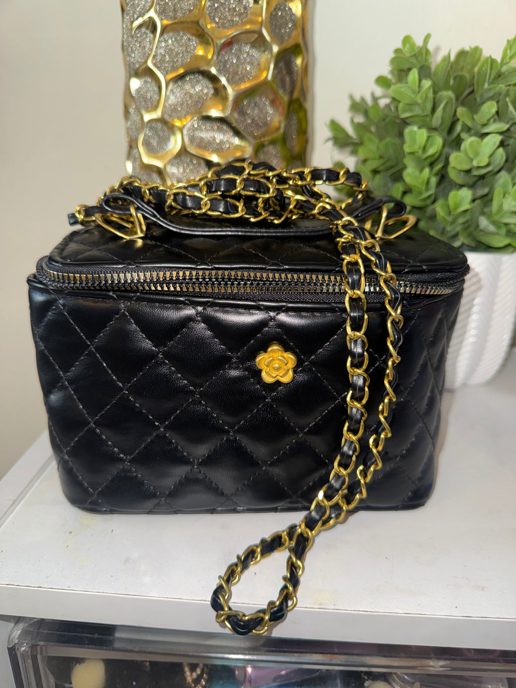 Vanity case bag (Black)